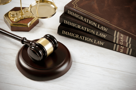 immigration law