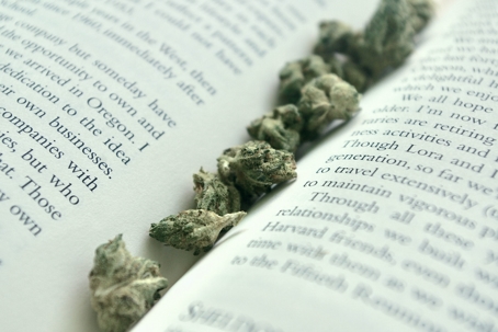 closeup view of marijuana in spine of open book